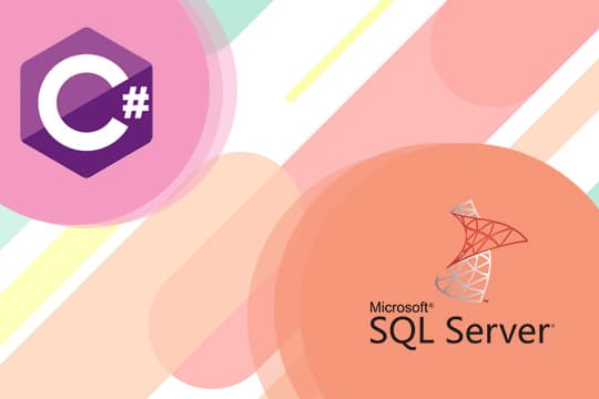 C# With SQL Server Training course image